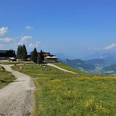 Rosskopf By Interhome Apartment Oberau